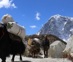 travel Approach of Everest Base Camp as ration and passion of Trekkers. 